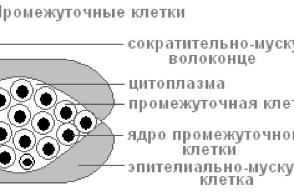 Кракен правила площадки