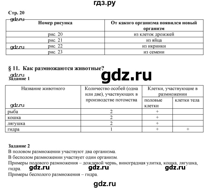 Сайты даркнета